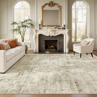 Washable Area Rug with Non Slip Backing