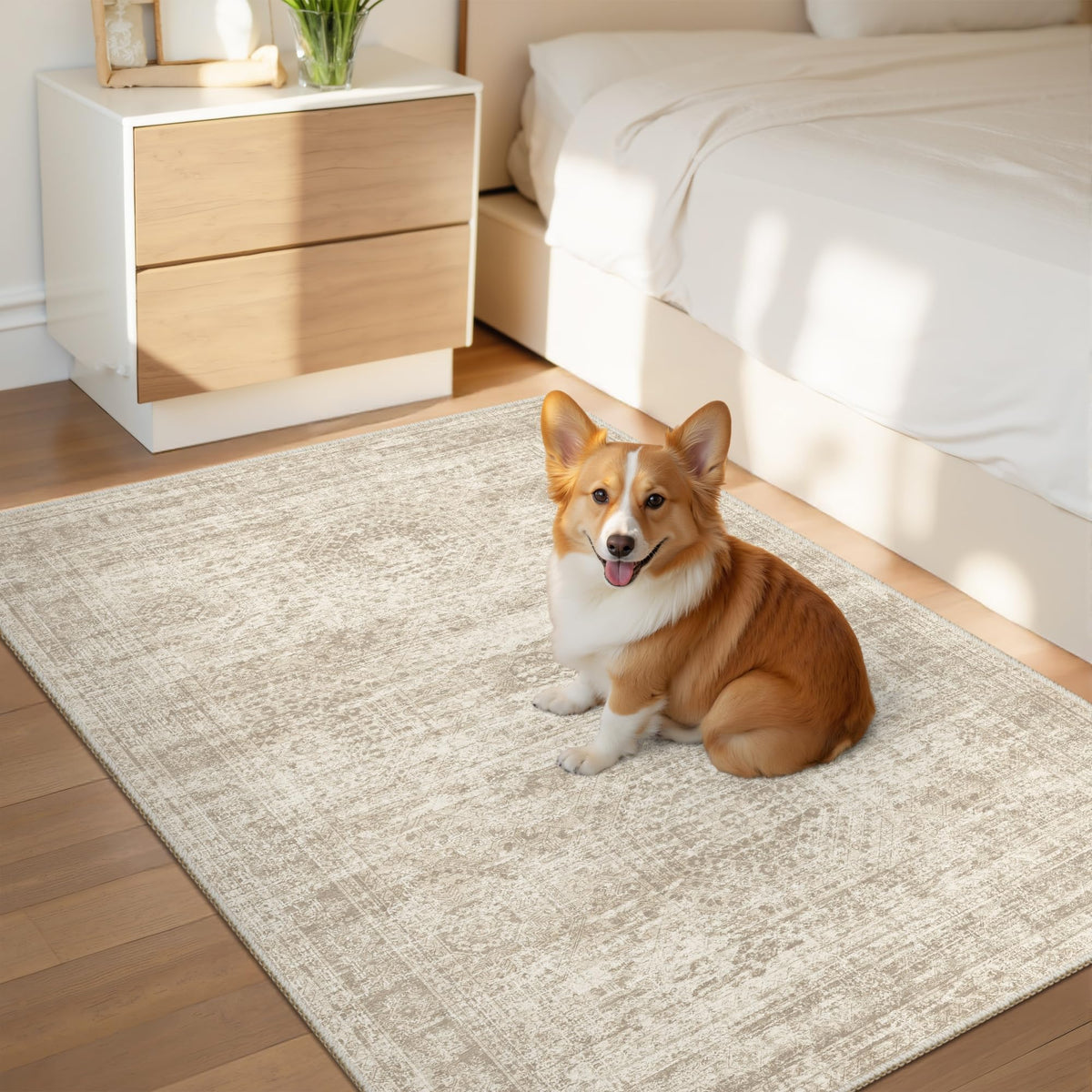 Washable Area Rug with Non Slip Backing