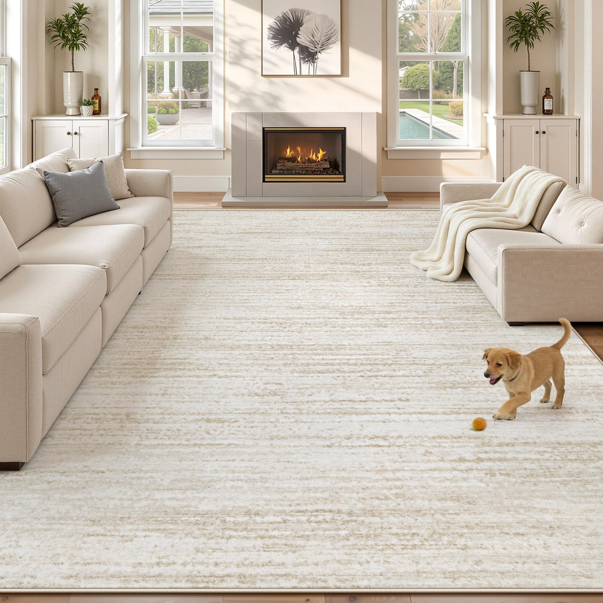 Washable Area Rug with Modern Printed Design