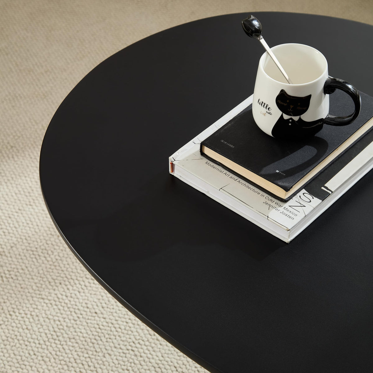 Oval Fiberglass Coffee Table with Minimalist Design