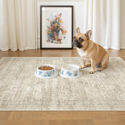 Washable Area Rug with Non Slip Backing