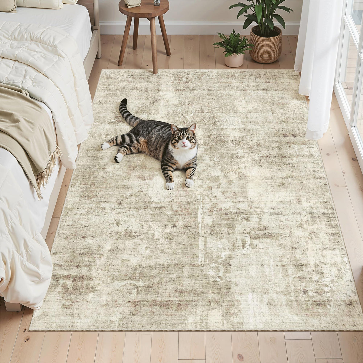 Washable Area Rug with Non Slip Backing