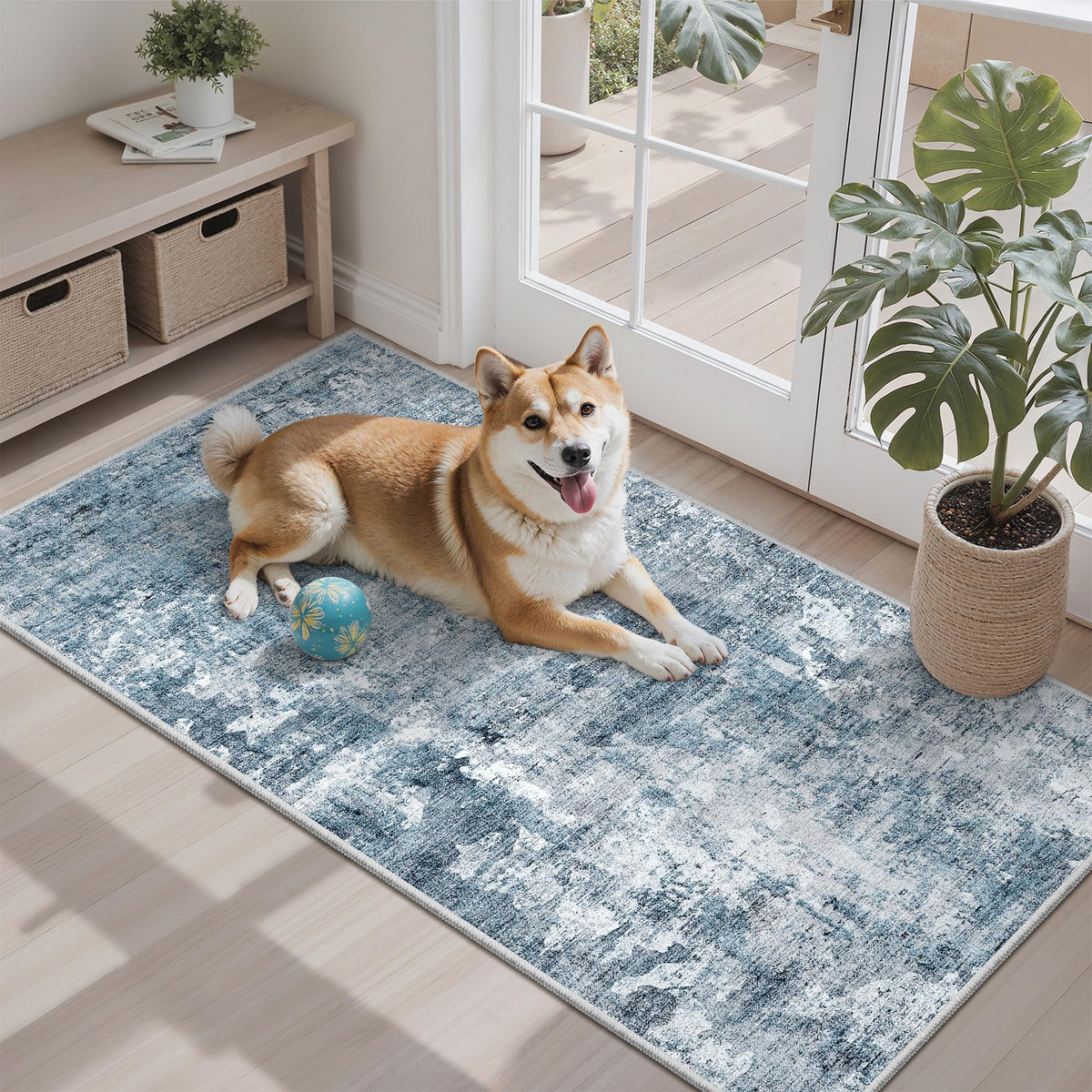 Washable Area Rug with Non Slip Backing