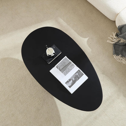 Oval Fiberglass Coffee Table with Minimalist Design